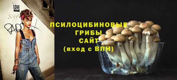 соль ск Арсеньев