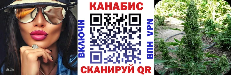 Конопля план  Тара 